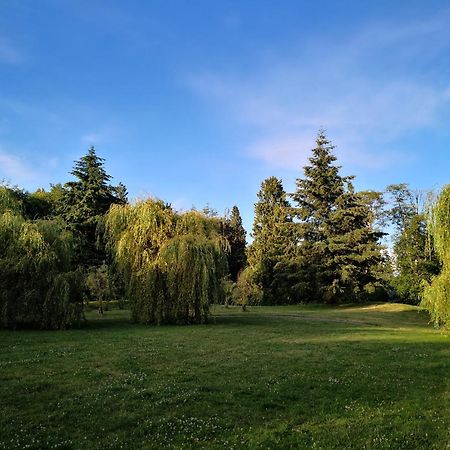 Entire Forest Home Near Nature & Amenities Surrey Dış mekan fotoğraf