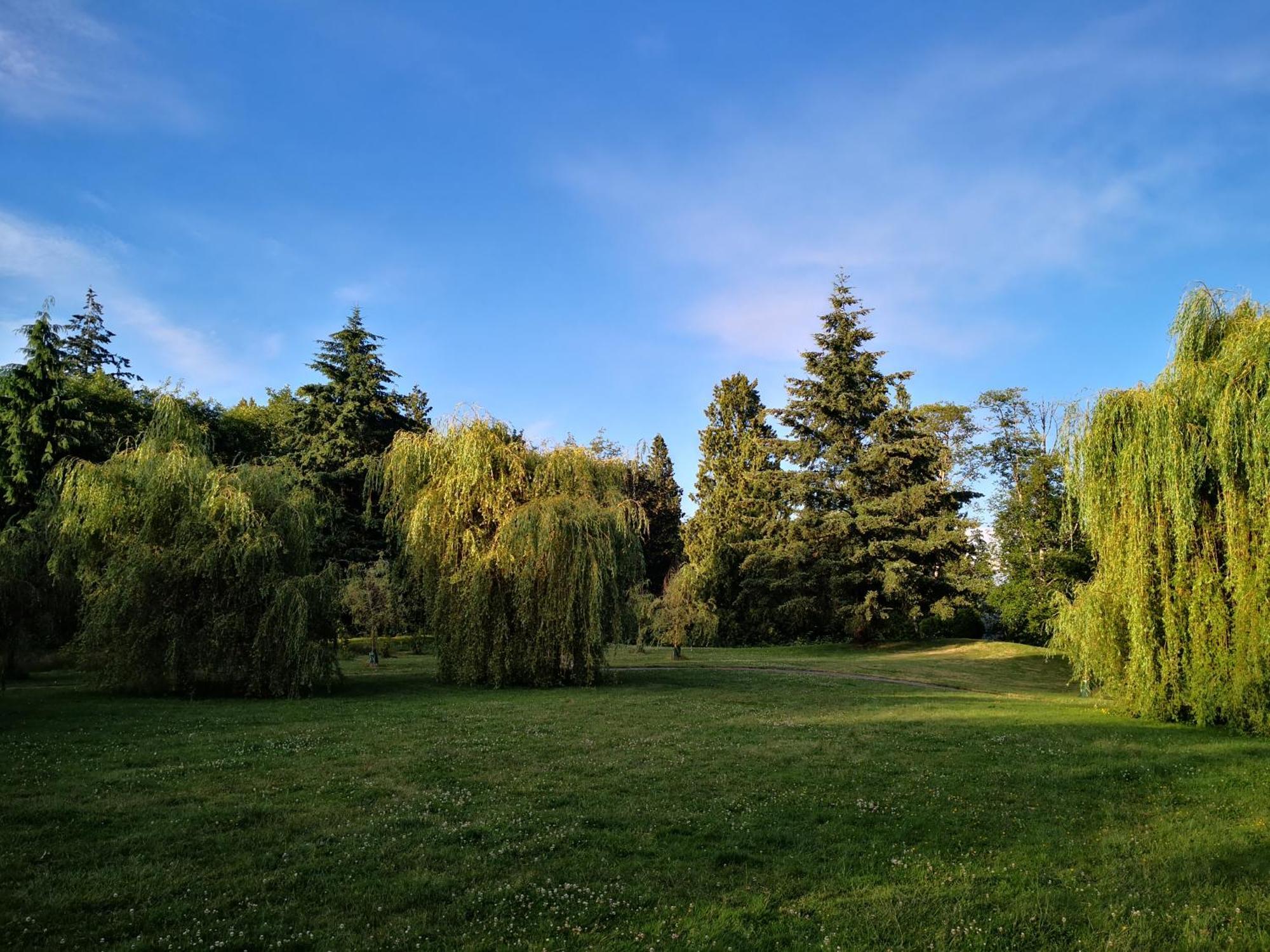 Entire Forest Home Near Nature & Amenities Surrey Dış mekan fotoğraf